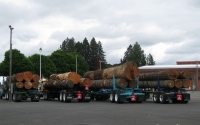 ATHS Salem, Oregon May 2016 103